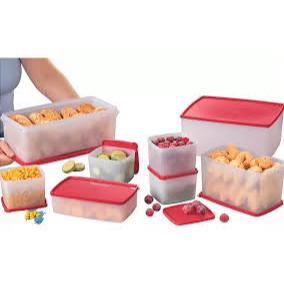 Tupperware para Freezer - Mini Jeitosinho, Jeitoso, Espaçosa, Caixa Ideal e Mega Caixa
