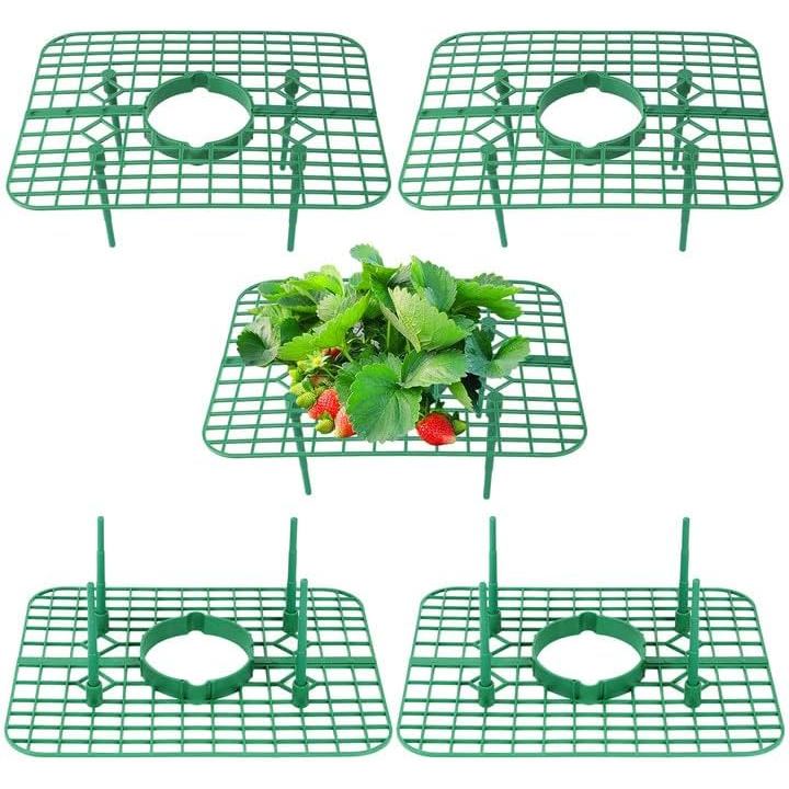 5 Pack Strawberry Plant Support Square Strawberry Supports for Garden Green Holder Plastic Stand with 4 Sturdy Legs Rise