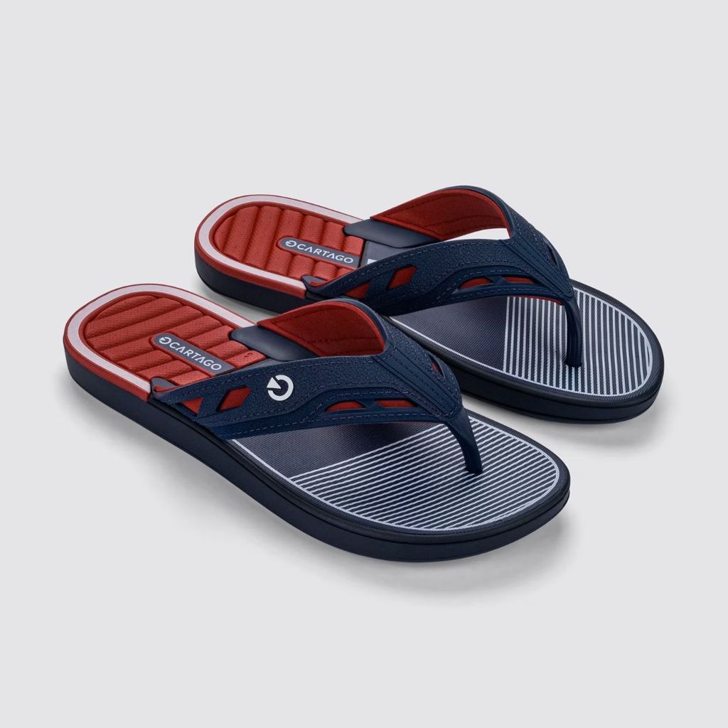 Chinelo Masculino Cartago Oficial Conforto Anatômico Antiderrapante Original Dallas 12158