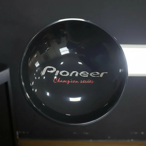 Protetor Subwoofer Grave Sub  Pioneer Tsw 309 Novo Original  Preto
