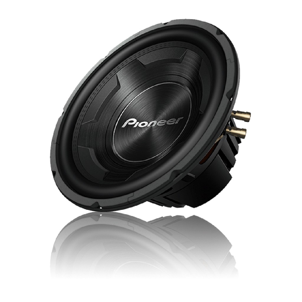 Subwoofer 12
