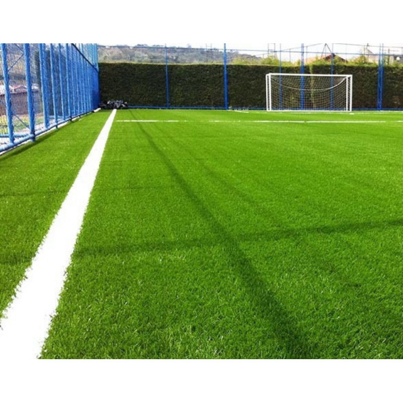 300g Sementes De Grama Bermuda Campo De Futebol, Jardim h qz