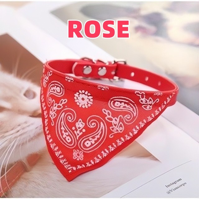 Lenço Adorável : Deixe Seu Animal De Estimação Sentir a Suavidade De Uma Nuvem ! Promoção