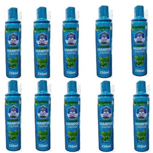 Kit 10 Shampoo Anti-caspa Santo Barbudo  3x1 250ML
