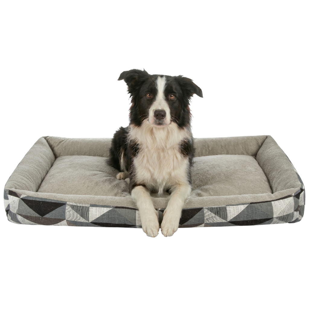 Cama Dog Chocante XG + Osso Lavável e Impermeável Extra Grande Prática para o Dia a Dia