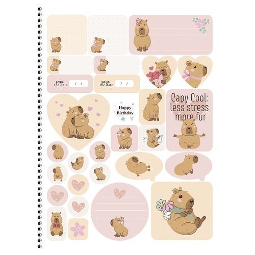 Caderno Espiral Universitário 80 Folhas Uma Matéria Capivara Design Sortido