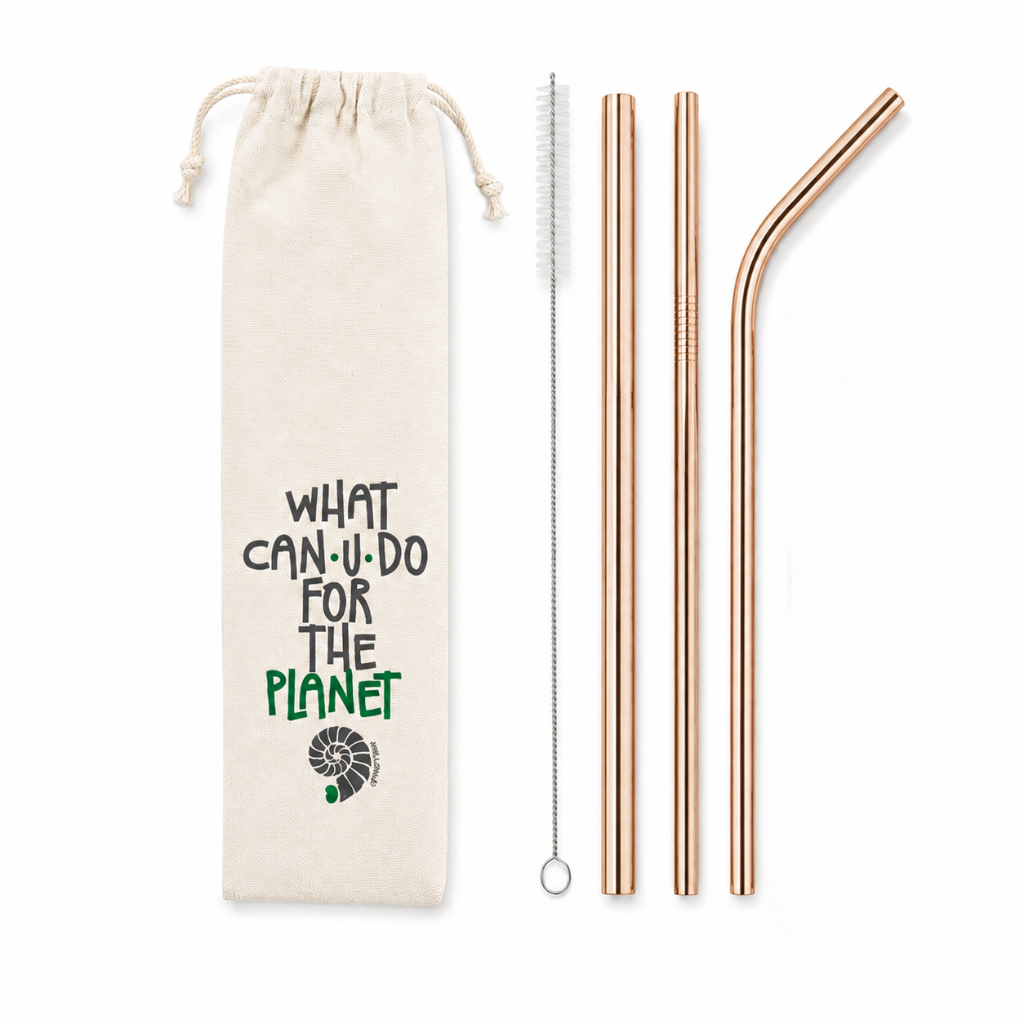 Kit 5 em 1 - canudo reto e curvo + canudo shake 10mm + Ecobag + Escova de limpeza Várias Cores