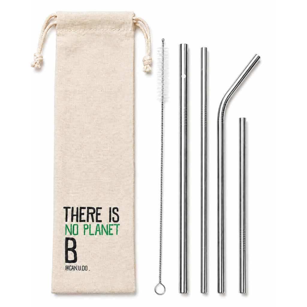 Kit 6 em 1 prata - canudo reto e curvo + shake 08mm + canudo drink 15cm + Ecobag + Escova de limpeza