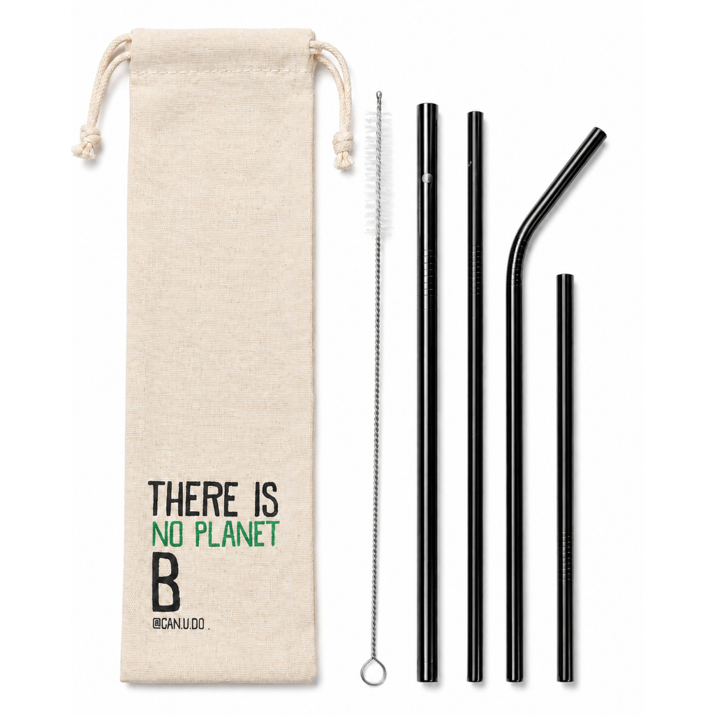 Kit 6 em 1 - canudo reto e curvo + shake 08mm + canudo drink 15cm + Ecobag  + Escova de limpeza