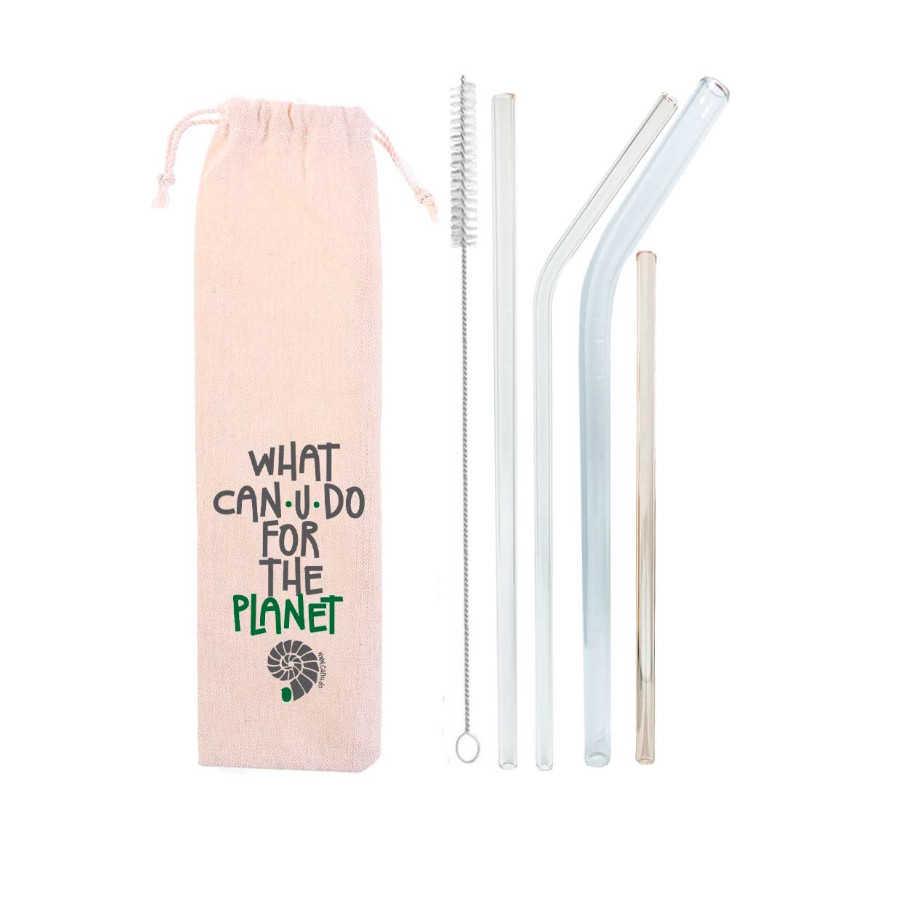 Kit 6 em 1:4 canudos de vidro + escova + ecobag