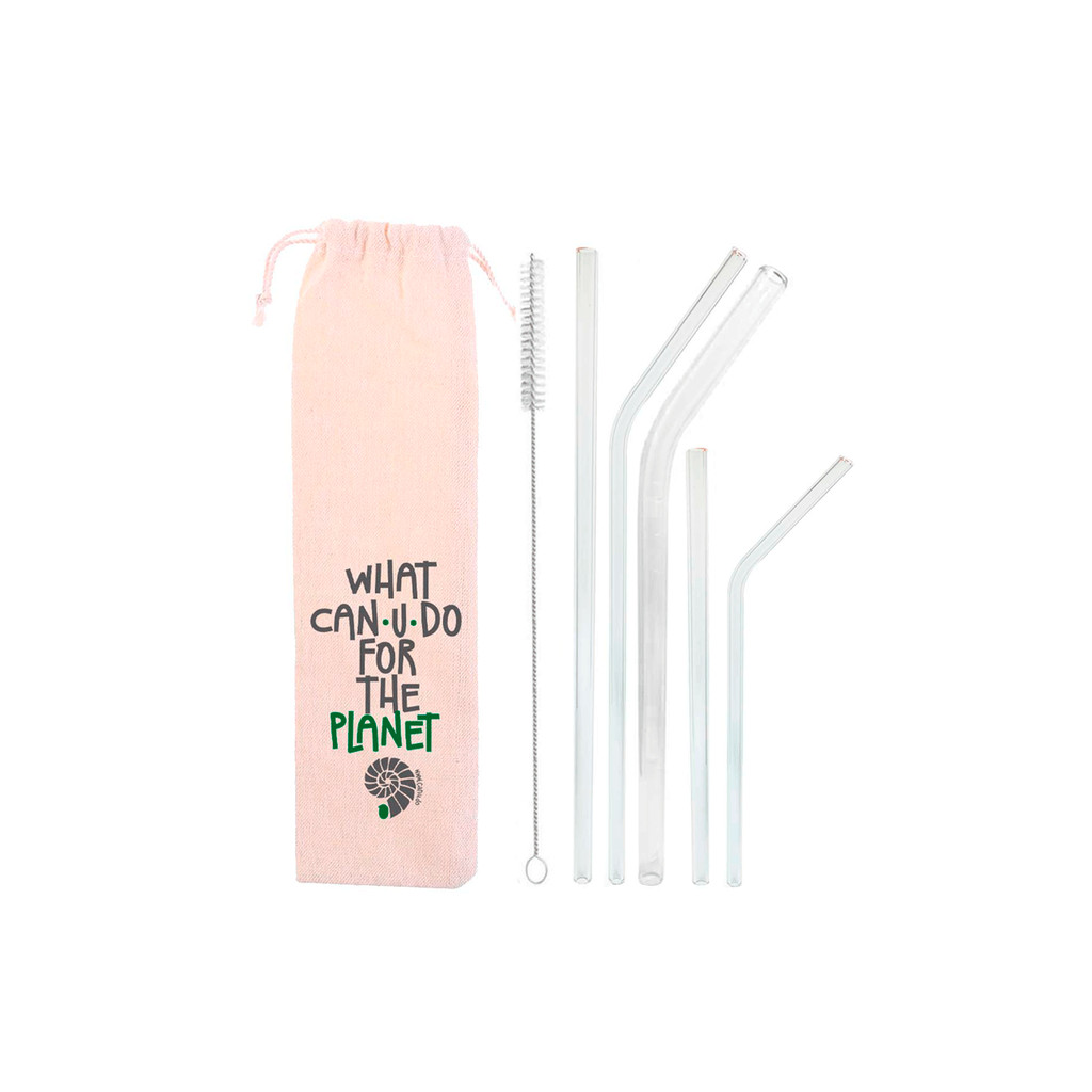 Kit 7 em 1:5 canudos de vidro + escova + ecobag