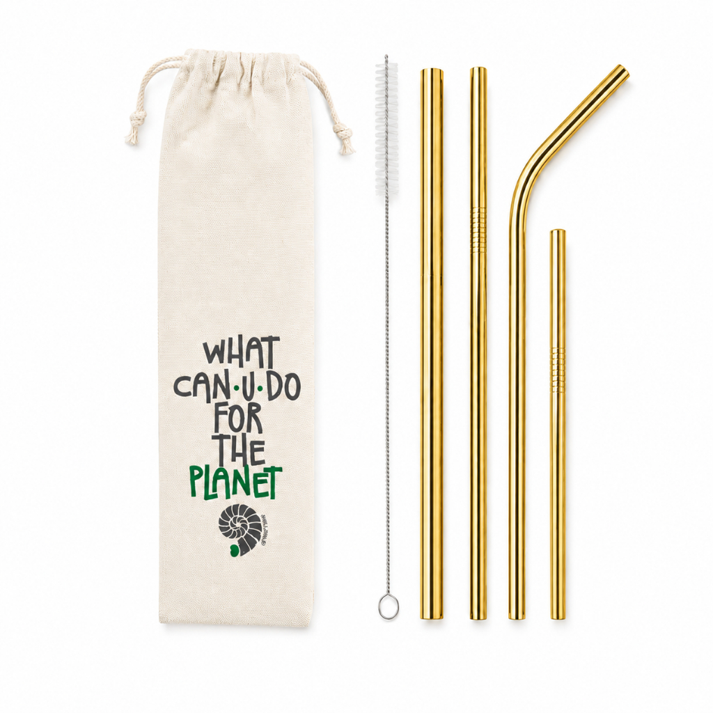 Kit 6 em 1 - canudo reto e curvo + shake 12mm + canudo drink 15cm + Ecobag what + Escova de limpeza