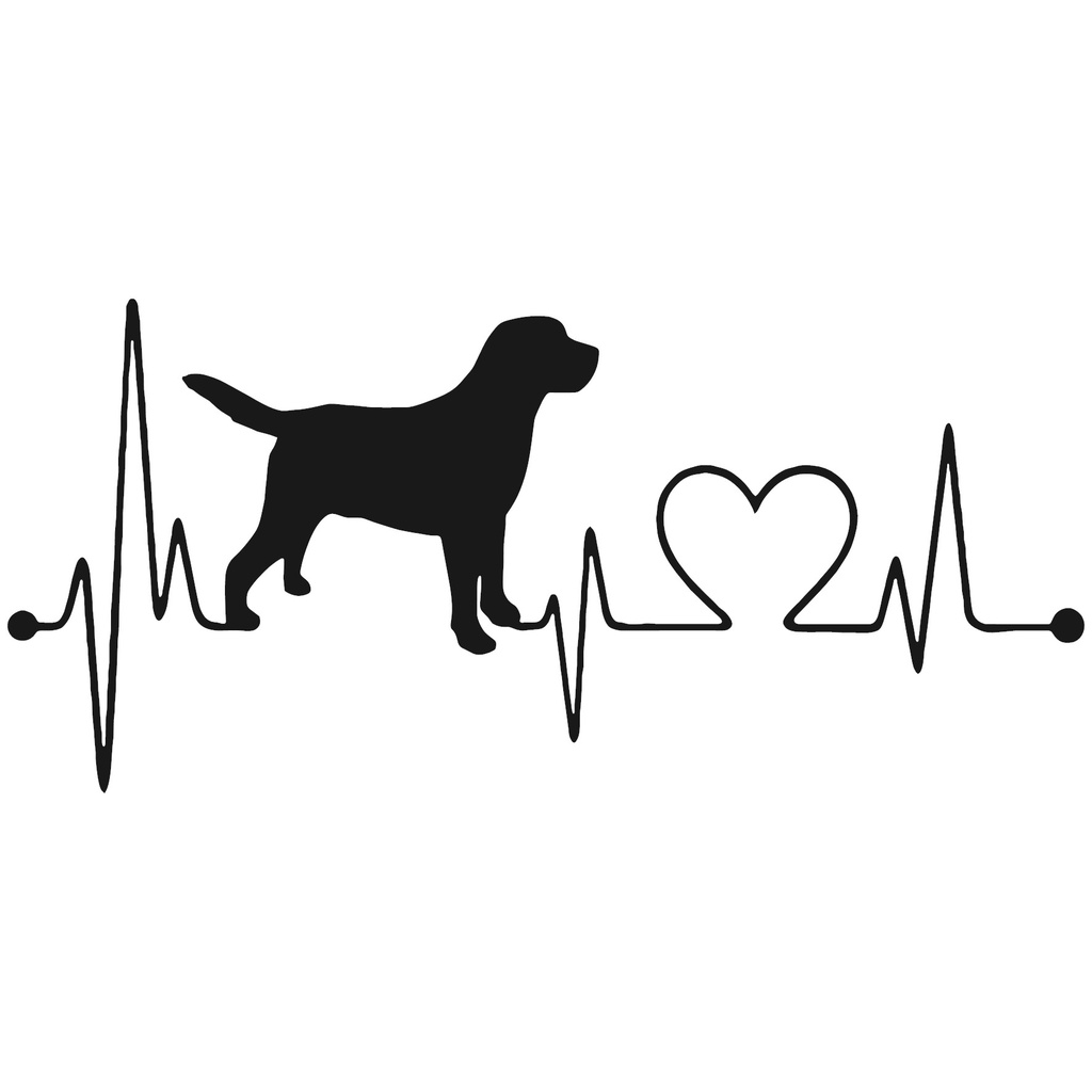 Adesivo Amor por Cachorro Pet AD1019 4F8E4462FD1DD1S5S