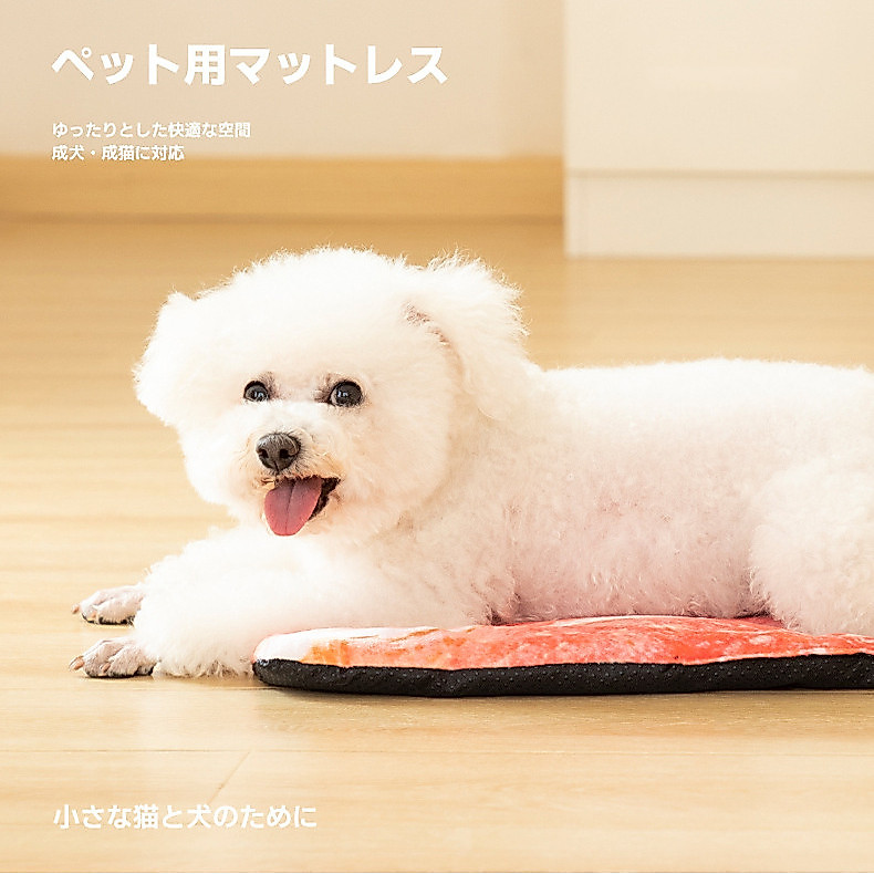 Simulação Pizza barriga de porco almofada do cão curto pelúcia canil Pet gato maca Anti-deslizamento pano assento almofa