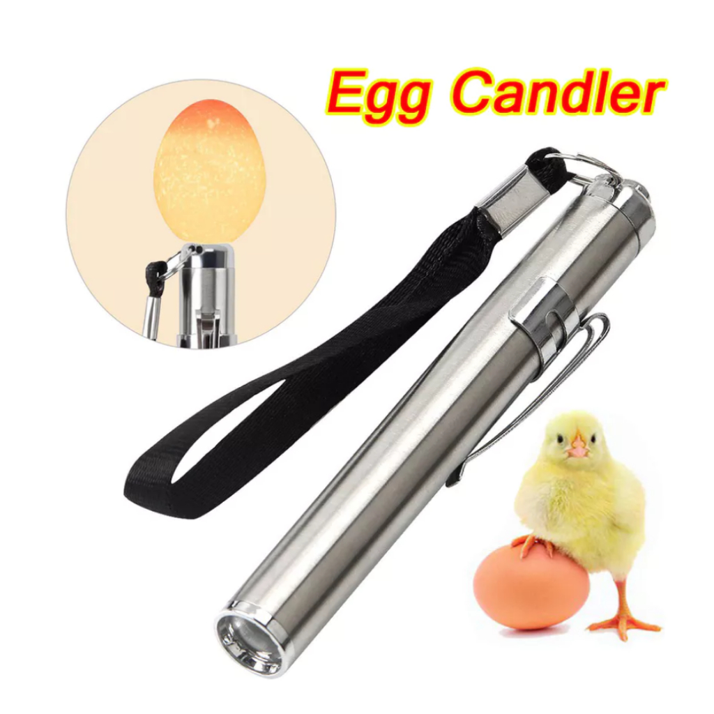 Incubadora LED Eggtester Ovo Candling Lâmpada Aves Pássaro Pombo Incubação Lanterna