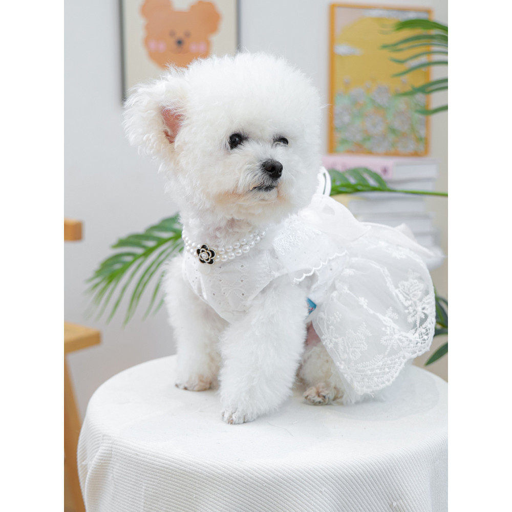 Petcircle Roupas para Cachorro Gato Vestido de Princesa Vestido Branco Pequeno Cachorro Bichon Teddy Puppy Dress