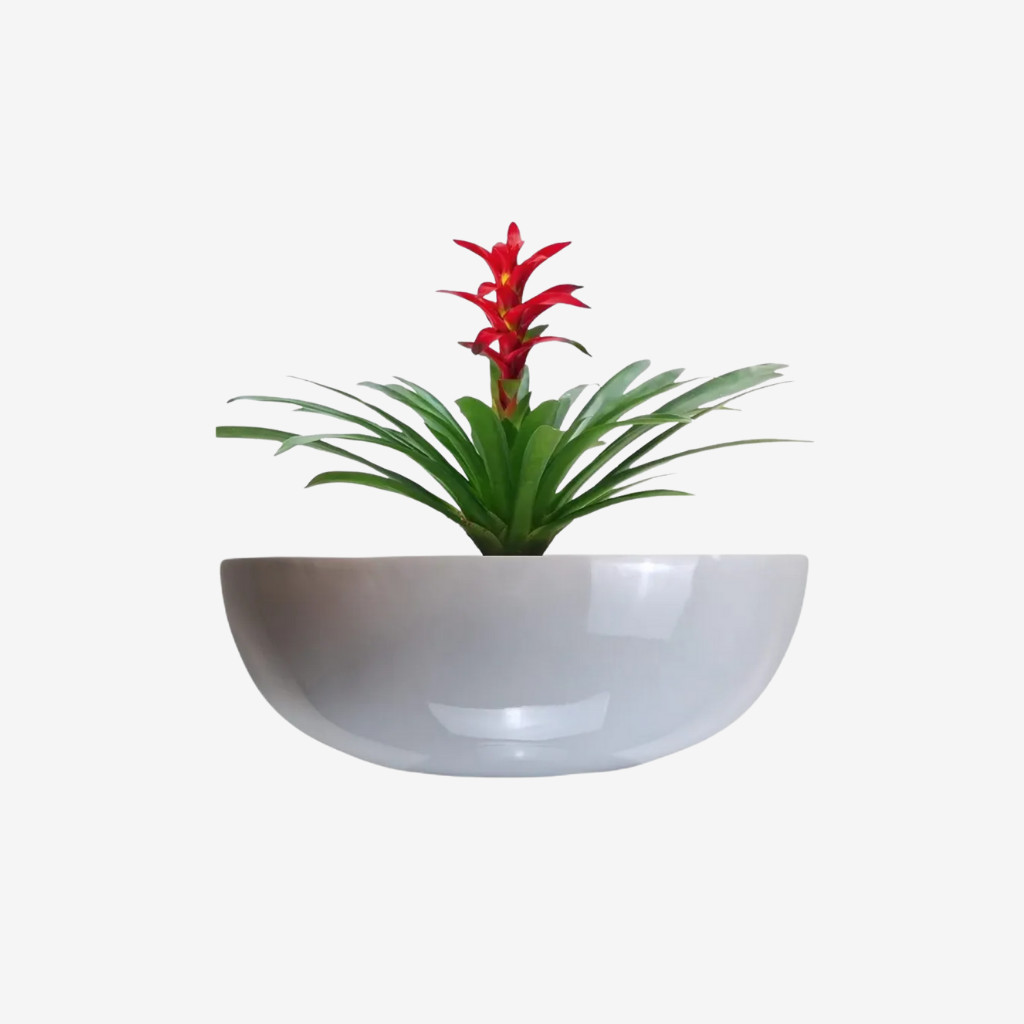 Vaso Bacia Estilo Vietnamita Vitrificado M 50cm V06-02