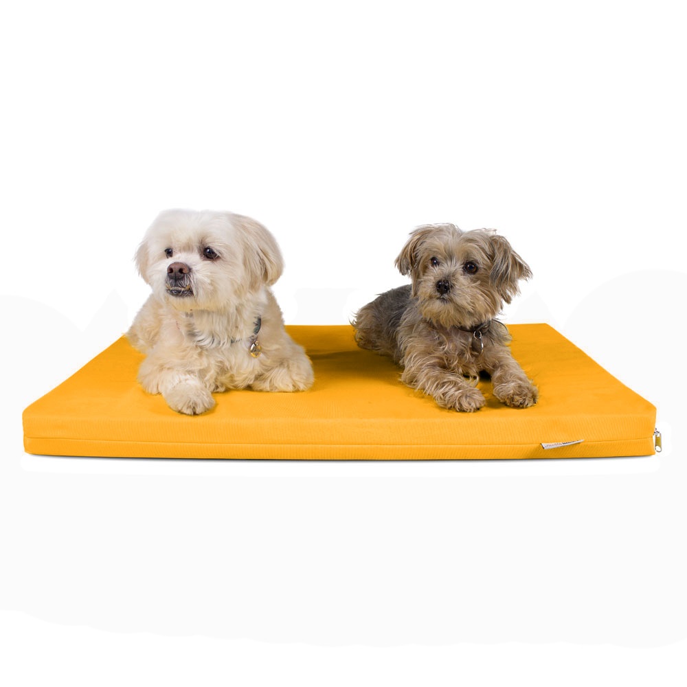 Colchonete para Cachorro Impermeável Caminha Pet com Zíper 80x60 Várias Cores