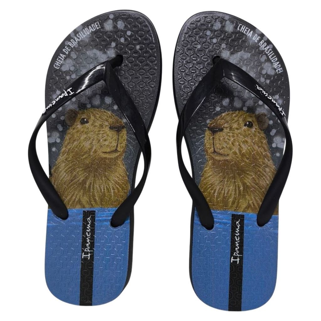 Chinelo de Dedo Feminino Leve Casual Ipanema Pets Pop