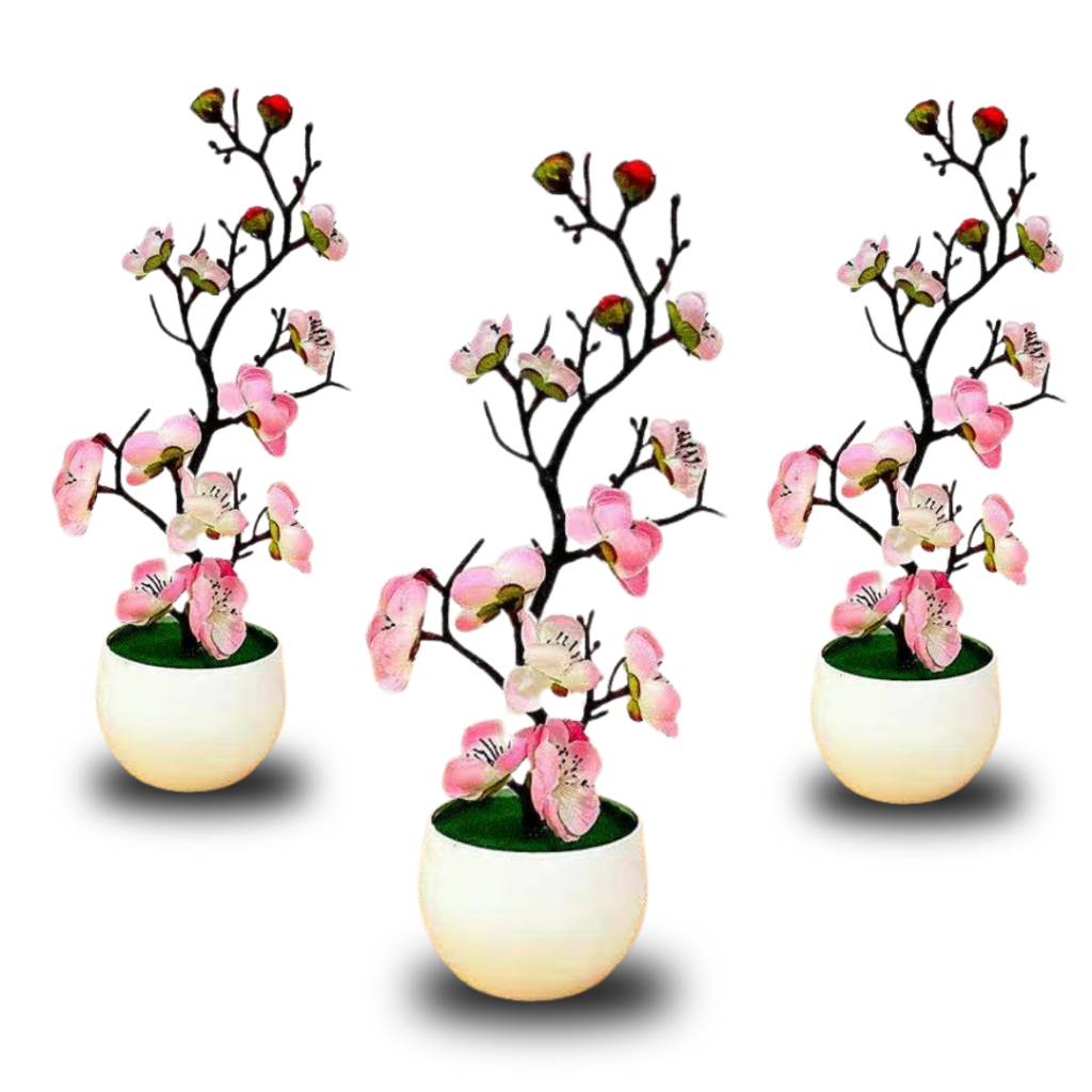 Kit 3 Bonsais Sakura  Ameixeira Rosa Claro – Toque Fino e Oriental