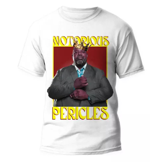 Camiseta Basica Pericles Pagode Brasileiro Cantor Unissex 100% Algodão