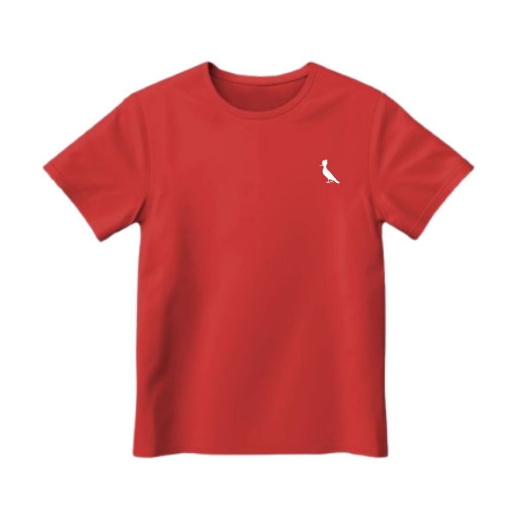 Camiseta Infantil Juvenil Menino Camisa Grife Moderna Básica Festa Passeio Verão 2026