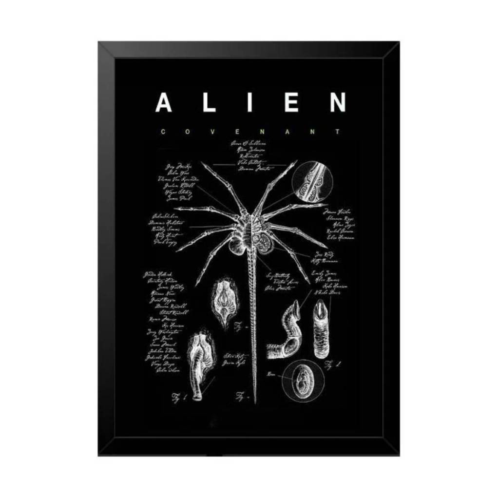 Quadro Decorativo Terror Espacial Alien Facehugger Xenomorfo A4 Sala Quarto Escritório