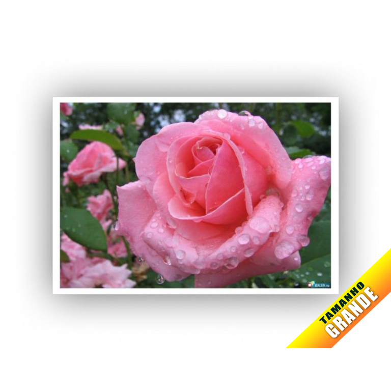 Papel Arroz Jardim de Rosas para Bolo Grande 30x40cm de 7kg