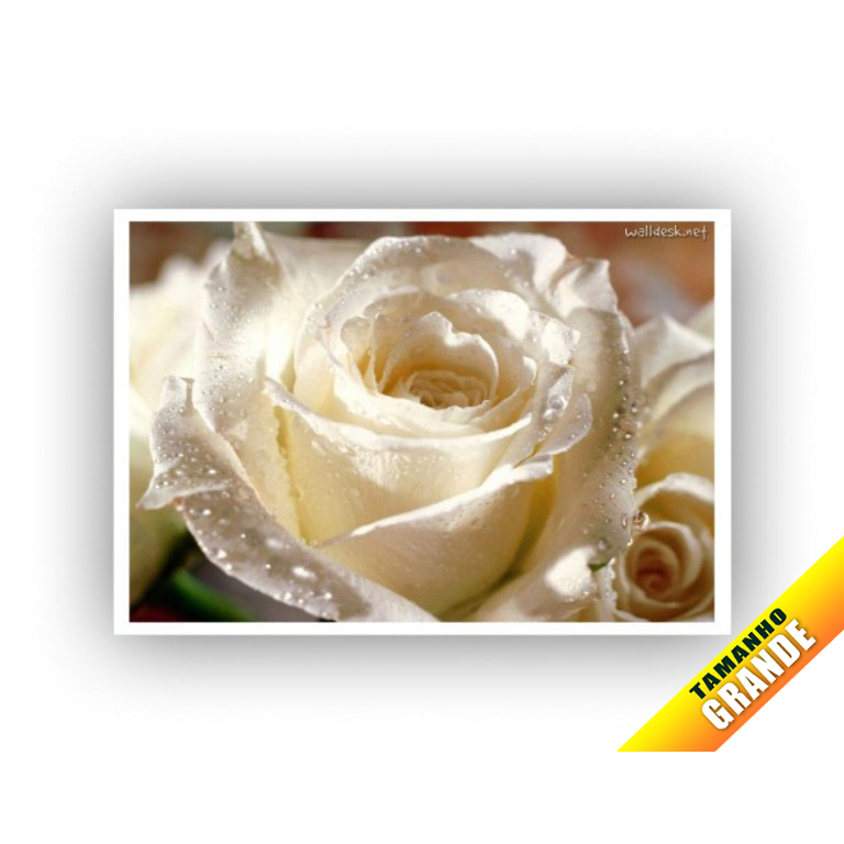 Papel Arroz Flores Rosa Branca para Bolo Grande 30x40cm de 7kg