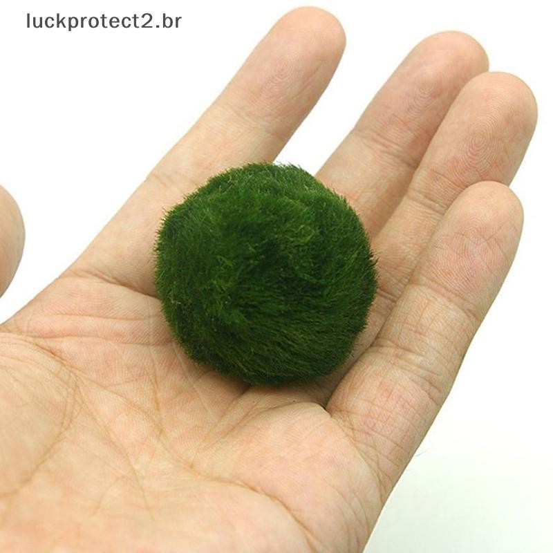LPHG 3-4cm Marimo Bolas De Musgo Planta De Aquário Vivo Algas Tanque De Peixes Ornamento Simulação Verdes Artificial .