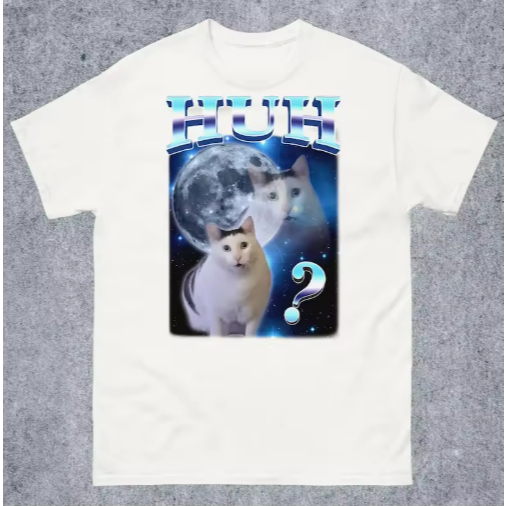 Camiseta Camisa Blusa Algodão Unissex Huh engraçado úmido gato meme