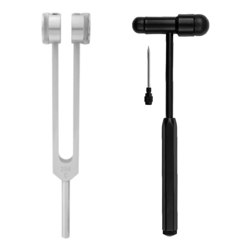 Martelo Neuro Buck De Reflexo Preto + Diapasão 256 Hz - Bic