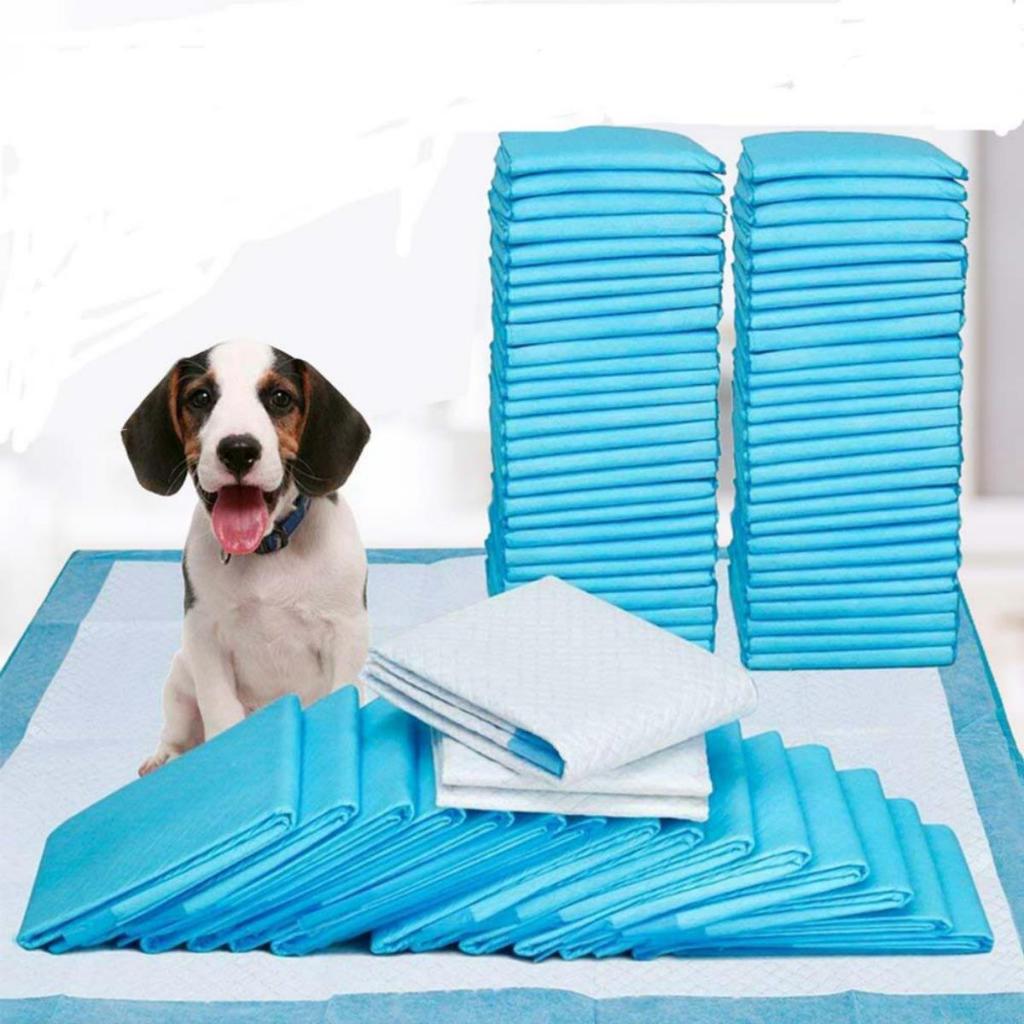 1pc Pet Descartável Urina Almofada Fralda Cão Gato Desodorante Xixi Trem Interior Ao Ar Livre Antibacteriano
