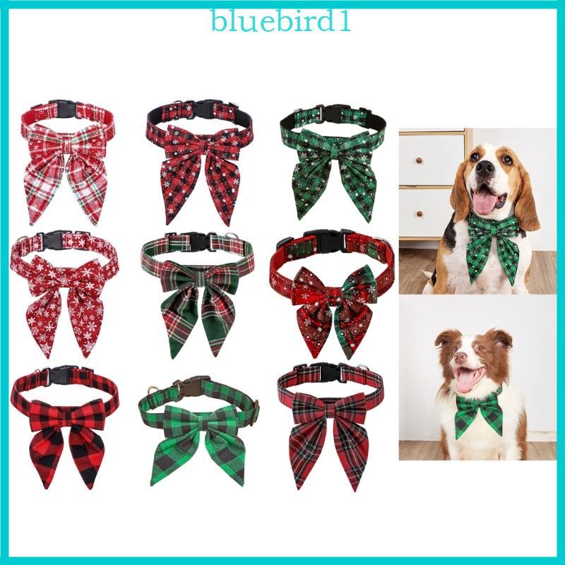 Ano Gato Traje Xadrez Colar Festa Wear Breakaway Bowknot Photoshoots Adereços Acesso Para Animais E