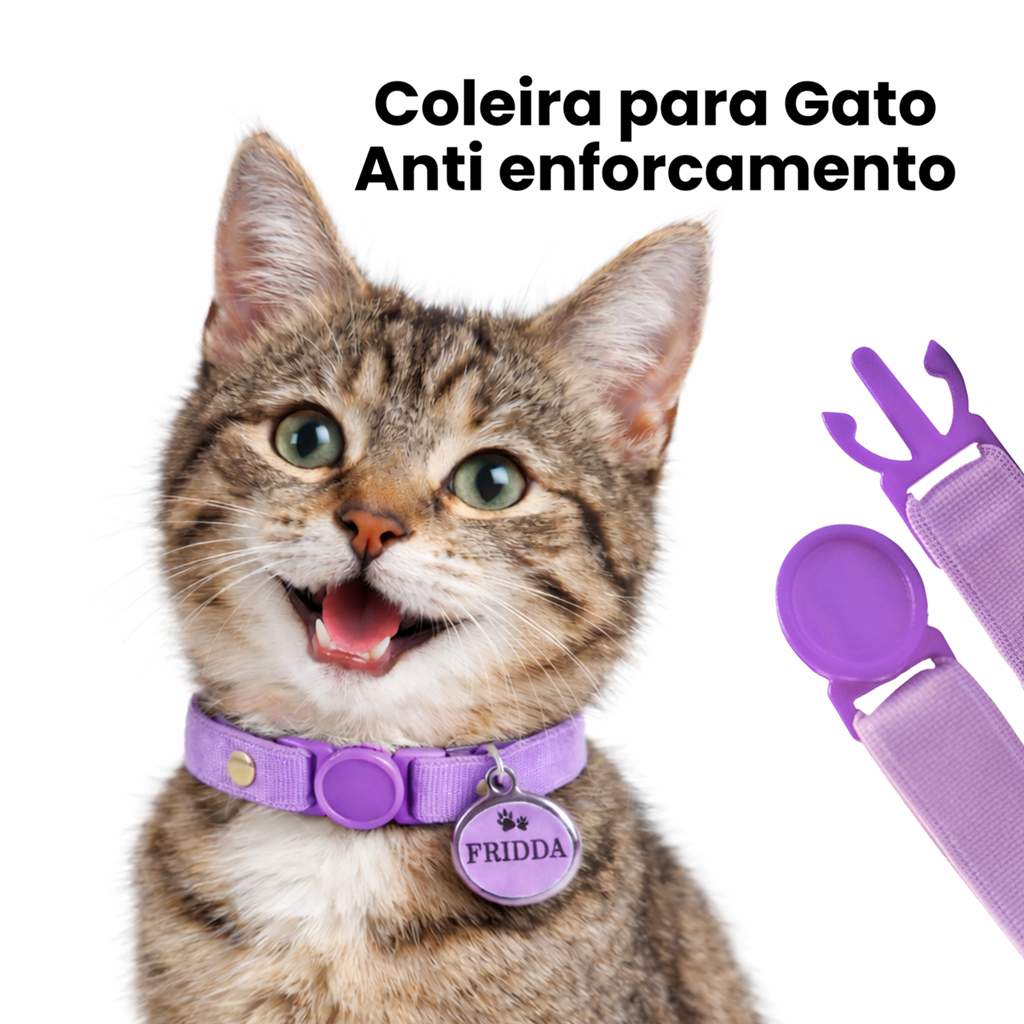 Coleira Gato Anti Enforcamento Breakaway e Pingente de Identificação Personalizada para Gatos