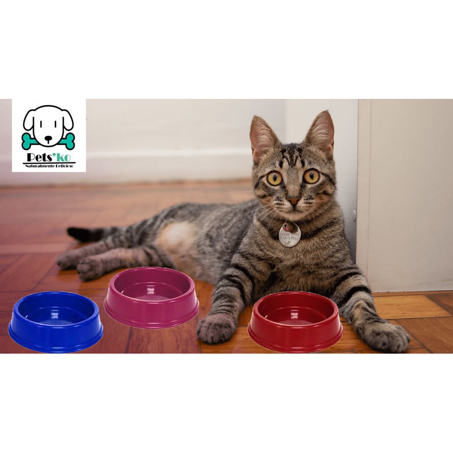 Comedouro Bebedouro para Pets com Capacidade de 130ml  - Filhotes de Cachorro e Gatos