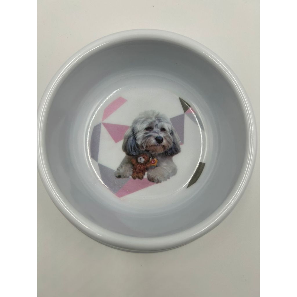 Comedouro/Bebedouro para Pet Cão ou Gato | Plástico - Estampa Divertida | Capacidade: 400 ml