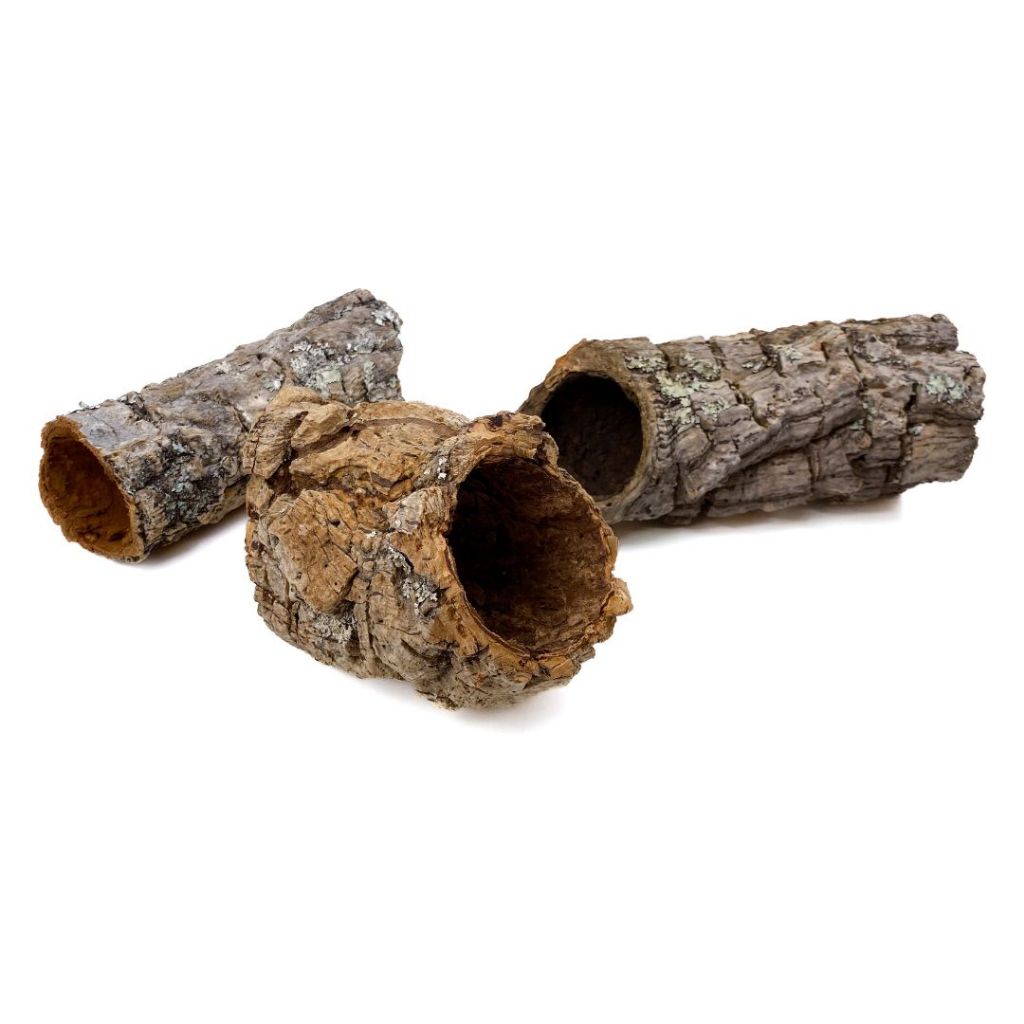 Tubo Cork Bark natural para Hamster Gerbil Cobra Peixes Terrários