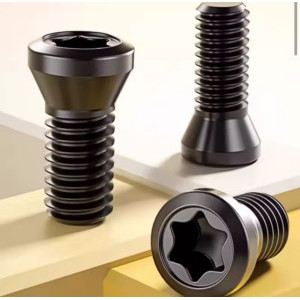 10 Parafusos Torx M5 x 14mm Cnc Fresadora Torno Cabeçote T20