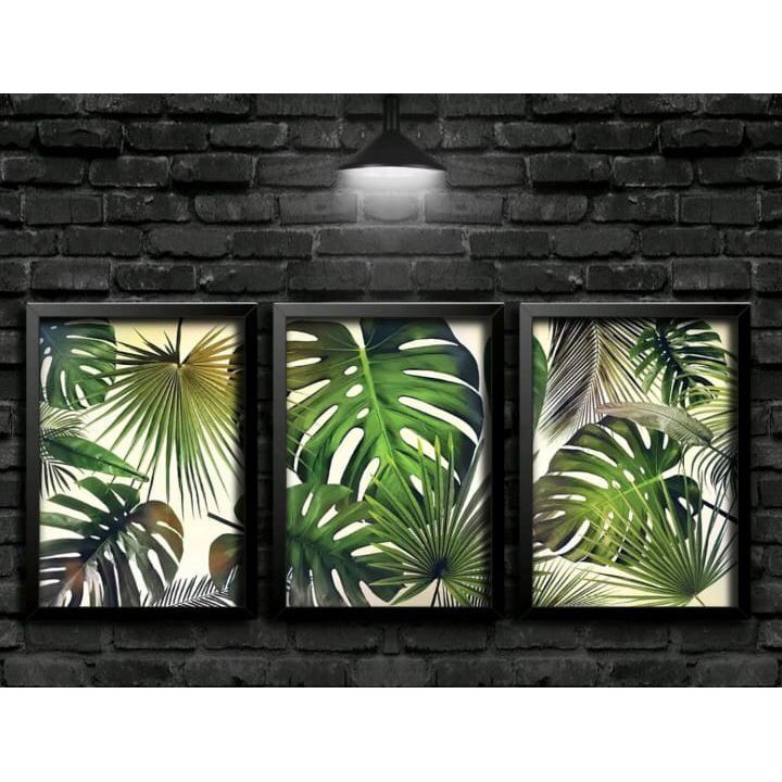 Quadros Decorativos - Folhagens - Costela De Adão - Folhas E Flores - Estilo E Modernidade - Casa E Jardim - Verde