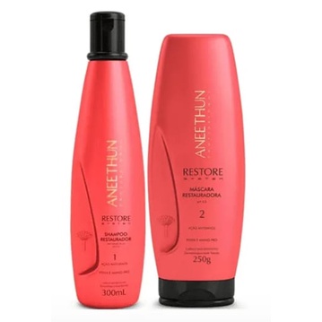 Kit Aneethun Restore System Shampoo + Máscara Profissional