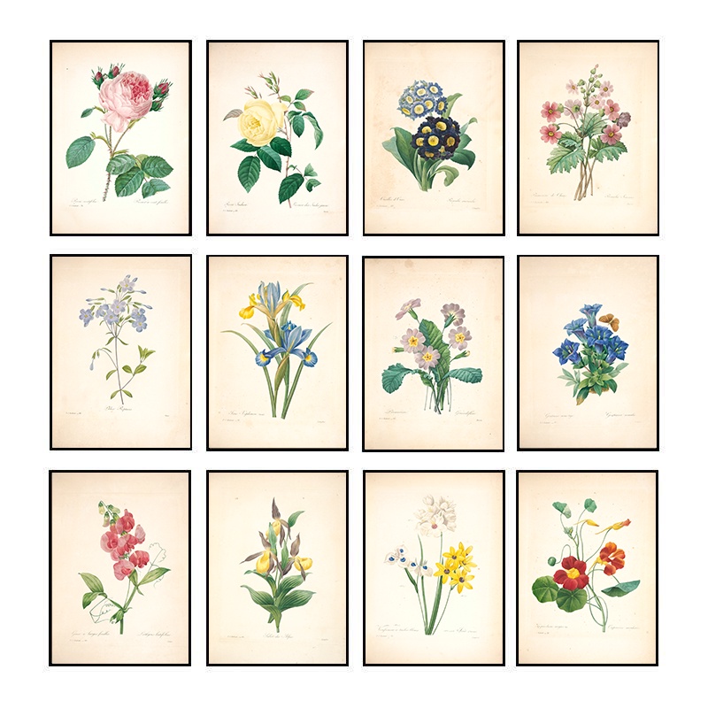 Pôster Botânico Vintage Pintura Em Tela Floral Impressão De Arte Simples De Parede Decoração