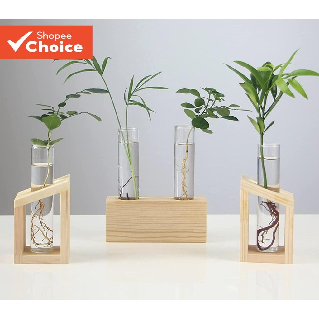 Tubo Hidropônico De Vaso , Simples Decoração De Vidro-Moldura De Madeira Recipiente Para Planta Doméstica
