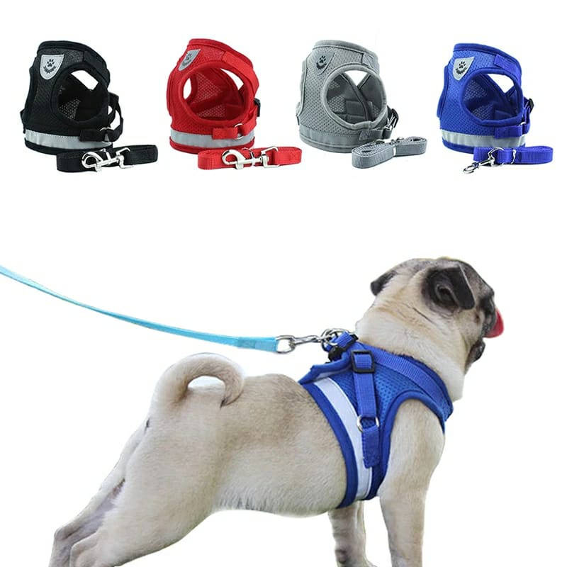 Peitoral Com Guia para Caes E Gatos Regulavel Super Confortavel Coleira para Cachorro Pet Pequeno