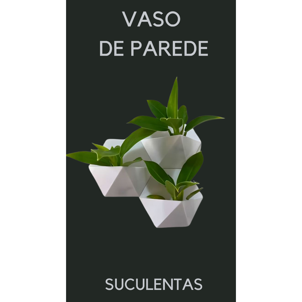 Vasos de Suculentas e Cactos de Parede - Decoração Moderna e Minimalista para Seu Ambiente