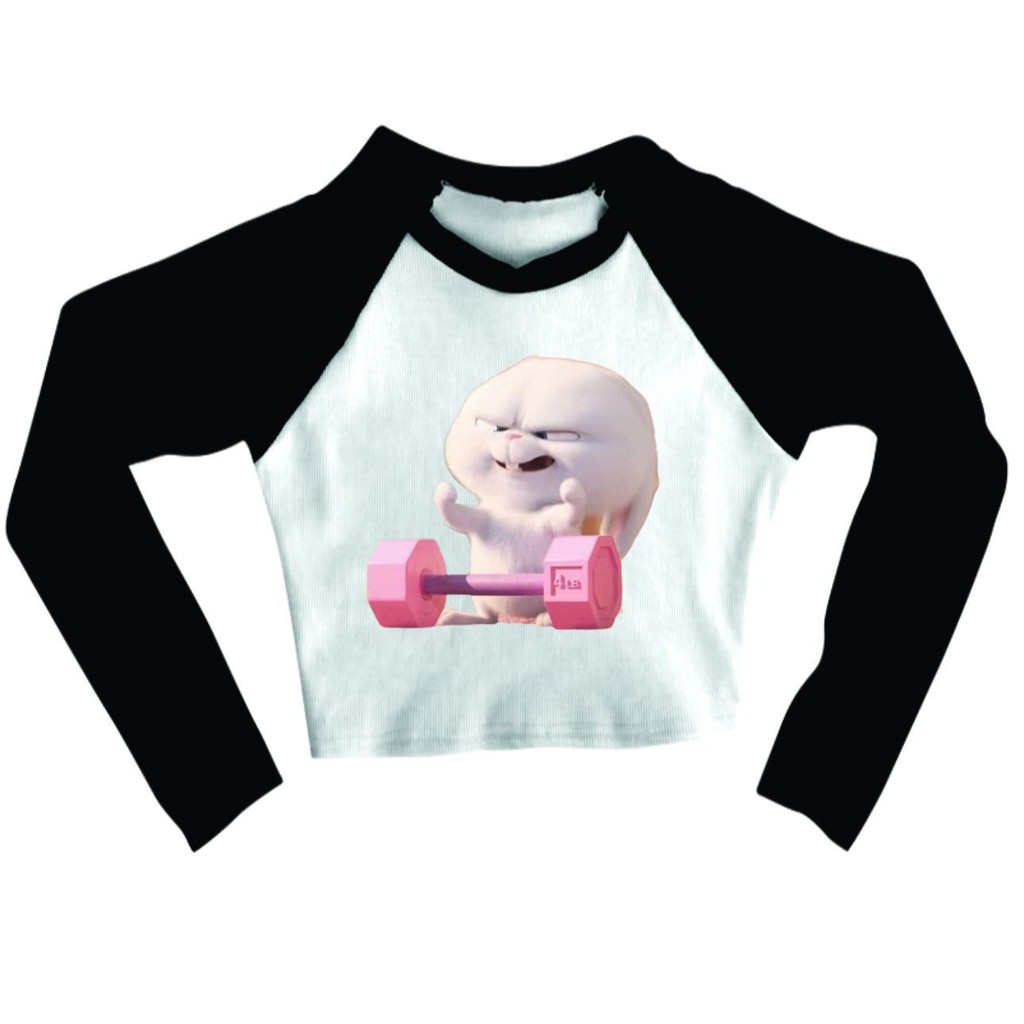 Cropped Raglan inverno Feminino Tumblr blogueira coelho academia petz feminina manga longa