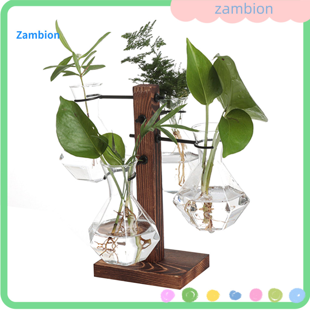 Plants Propagation Station Plant Hangers with Vases 4 Glass Vase Indoor Hydroponic Terrarium Kit for Houseplants Flower