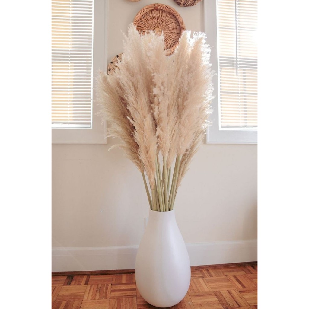 Pampa Glass Natural Decor Boho 5 Hastes Capim Dos Pampas