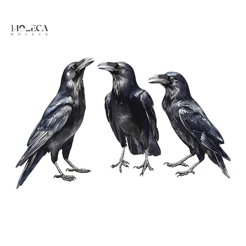 Halloween Crow Wall Decals Gift Black Stickers Removable Raven Peel and Stick Art for Home Party Window