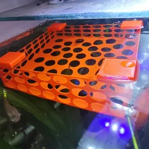 Criadeira Isoladora Flutuante para Aquario Abrigo e Protecao de Alevinos Hospital de Peixes